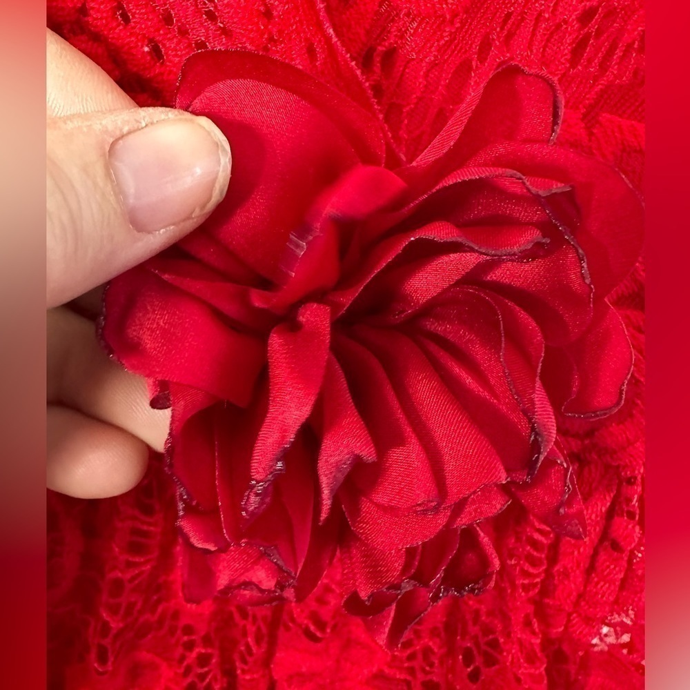 Just Kids Red Lace Little Girl’s Size 10 Dress - Picture 6 of 11